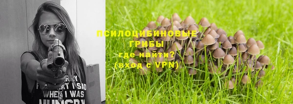 прущая мука Надым