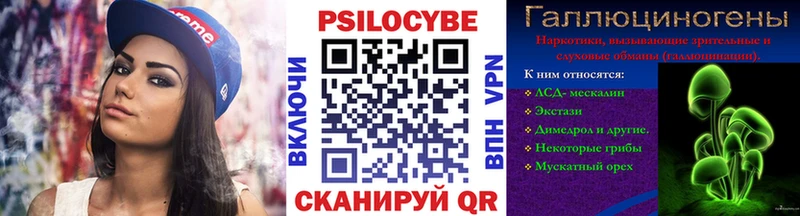 Псилоцибиновые грибы Psilocybine cubensis  Таруса 